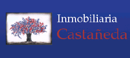 INMOBILIARIA CASTAÑEDA