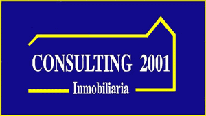 CONSULTING 2001
